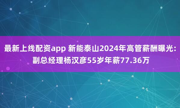 最新上线配资app 新能泰山2024年高管薪酬曝光: 副总经理杨汉彦55岁年薪77.36万